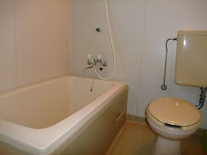 Bath room (Shower with Bathtub)